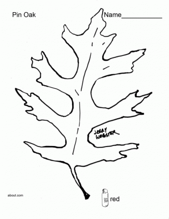 Fall Leaf Coloring Pages Printable To Print Id 75877 151782 Fall 
