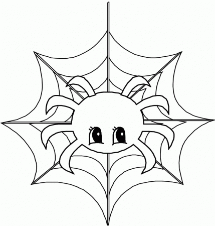Cute-Animal-Spider-Coloring- 
