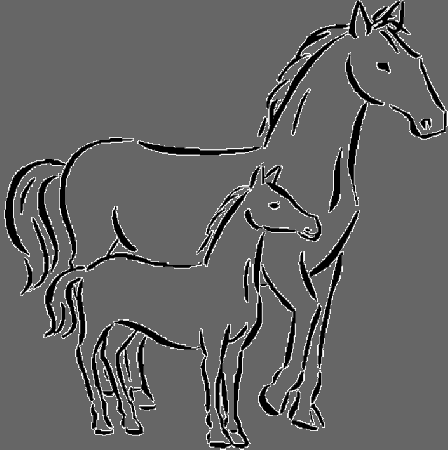 Horse Coloring Pages to Print | Coloring Ville