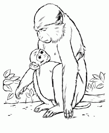 Wild Animal Coloring Pages | Mother and baby Monkey Coloring Page 