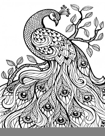 Coloring Pages: Free Printable Coloring Book Pages – Best Adult ...