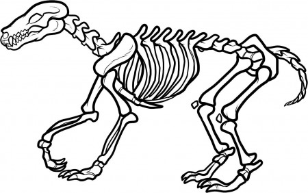 Free Dinosaur Skeleton Coloring Pages