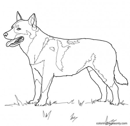 Puppy German Shepherd Coloring Pages - German Shepherd Coloring Pages - Coloring  Pages For Kids And Adults
