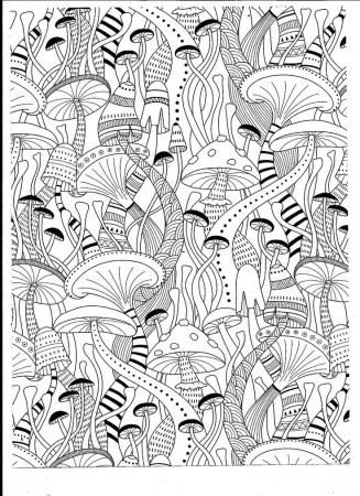 Adult Coloring Pages | Coloring ...