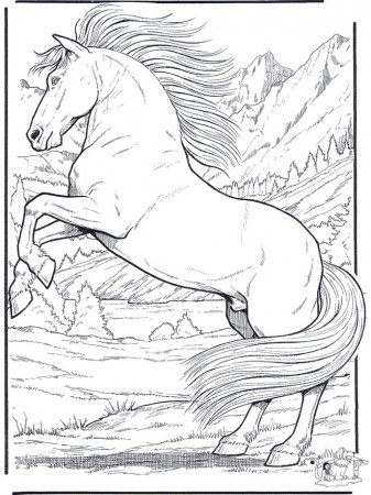 1000+ ideas about Animal Coloring Pages | Coloring ...
