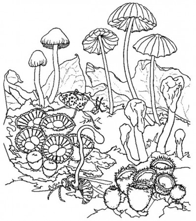 Psychedelic Mushroom Coloring Page