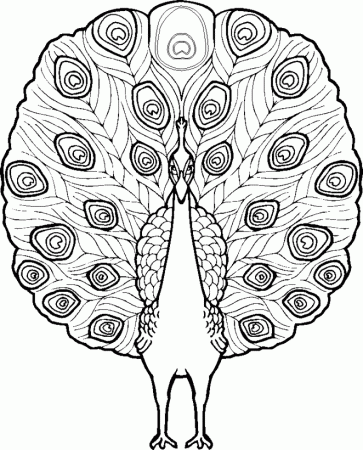 Peacock coloring page - Animals Town - Animal color sheets Peacock ...