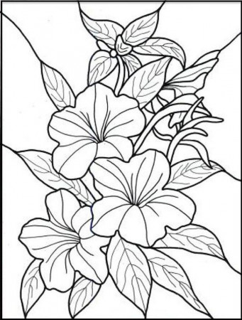 The Spring Flowers Coloring Page Collection