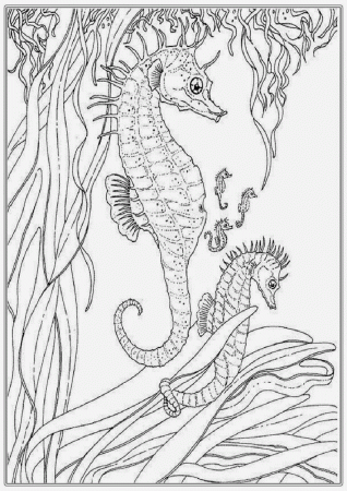 Under The Sea Coloring Page | Best Coloring Page Site