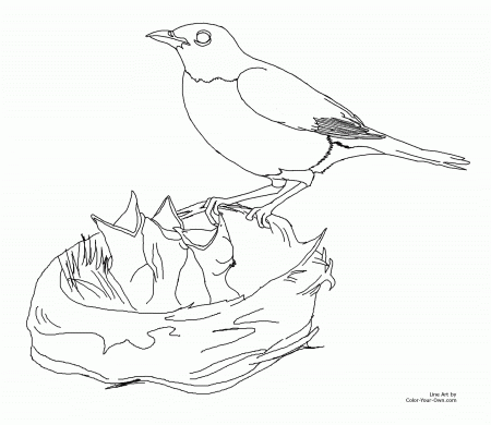 New Coloring Page for Spring - Mother Robin feeding baby birds ...
