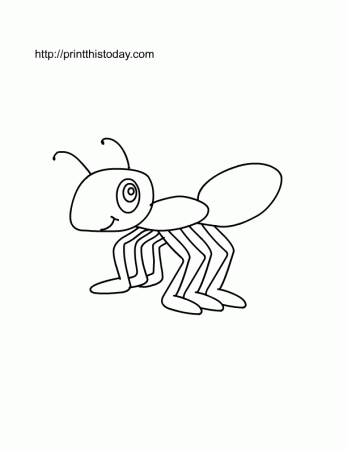 Free Printable Insects Coloring Pages