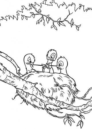 Baby birds in a nest coloring pages