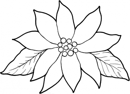 Poinsettia Coloring Page for Kids
