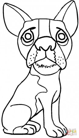 Pug coloring page | Free Printable Coloring Pages