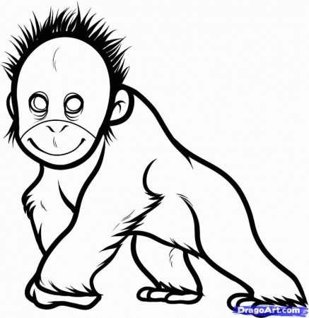 draw baby orangutan | OranguFan Charlie | Pinterest | Orangutans ...
