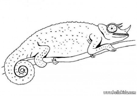 Chamelon Coloring, color the chameleon coloring page. Coloring ...