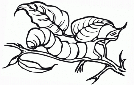 Download Insect Coloring Pages Caterpillar Creativity | ViolasGallery.