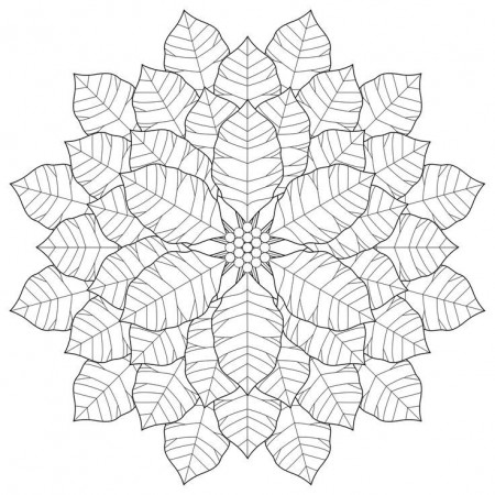 Poinsettia | Coloring for the Big Kids -XMAS