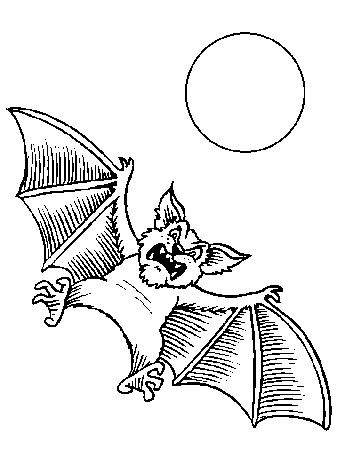 Bats 1 Animals Coloring Pages & Coloring Book