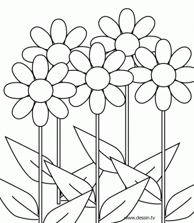 Search Results » Printable Flower Coloring Pictures