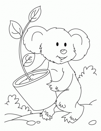 Koala Bear Coloring PagesTaiwanhydrogen.org | Free to download 