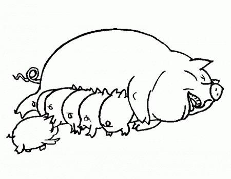 Animal Coloring Very Big Pig Coloring Pages Coloring Page Very Big 