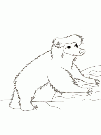 Printable Bears 23 Animals Coloring Pages - Coloringpagebook.com