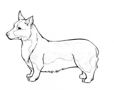 Corgi Coloring Pages Coloring Pages Hello Kitty Coloring Pages 