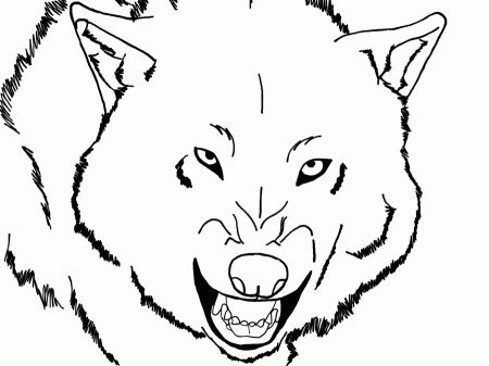Simple Wolf Drawing