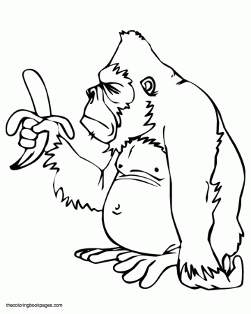 Overweight gorilla with banana - Monkey and gorilla coloring book 