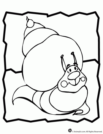e snail Colouring Pages