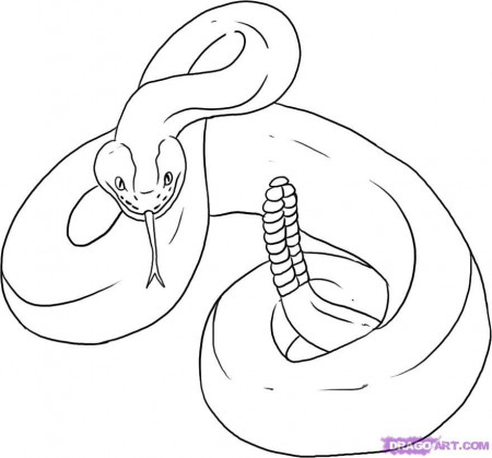 rattle snakes Colouring Pages (page 2)