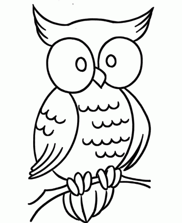 Owl Coloring Pages for Kids- Printable Coloring Book Pages for Kids