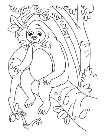 Sloth Lazy Animal Sloth Coloring Page