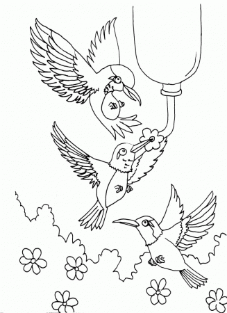 Hummingbird-Coloring-Pages-Printable-866×1024 | COLORING WS