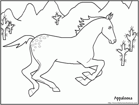 printable horse coloring pages great for kids or the kid in you 