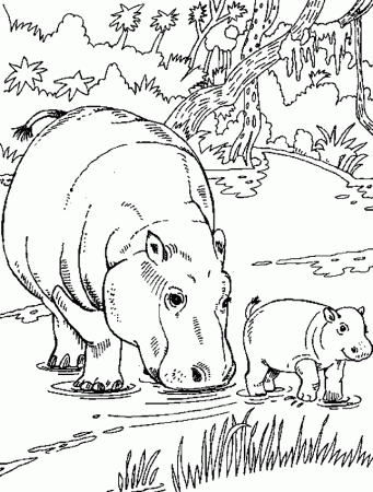 Free Hippo Coloring Pages