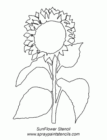 sunbeamflowers: flowers outlines