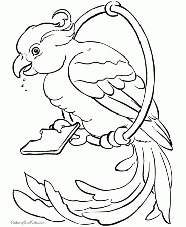 Printable Bird Coloring Book | Coloring Pages For Girl | Printable 