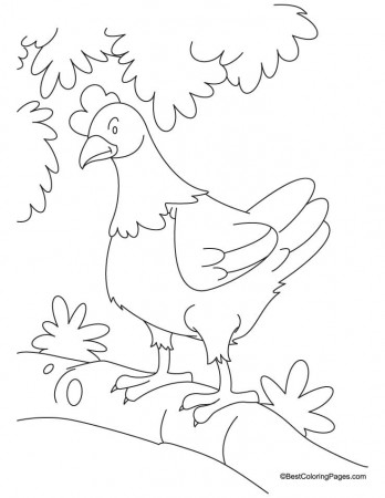 Hen waiting for den coloring pages | Download Free Hen waiting for 
