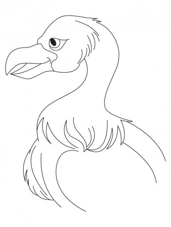 jatayu Colouring Pages