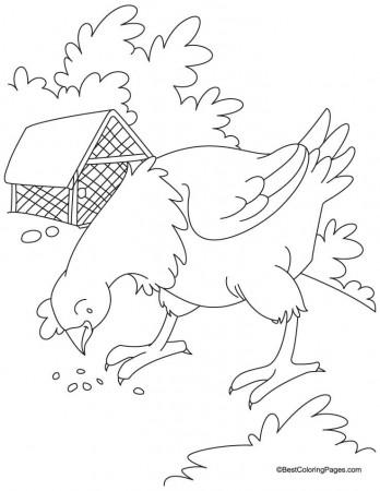 Give grain-egg gain hen coloring pages | Download Free Give grain 
