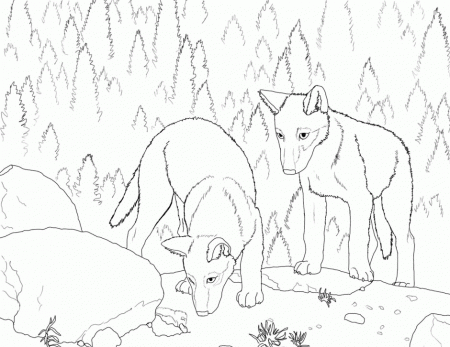Cute Wolf Coloring Page 1381 Free 144419 Wolves Coloring Pages