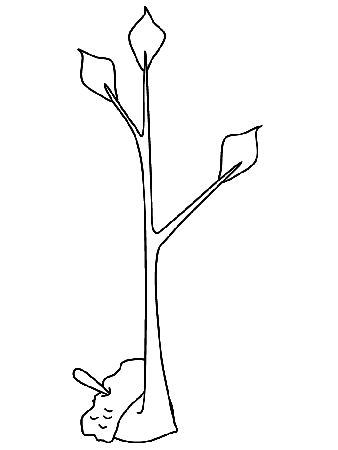 Tree15 Trees Coloring Pages & Coloring Book