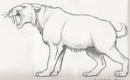 Saber Tooth Cat - Coloring Pages for Kids and for Adults