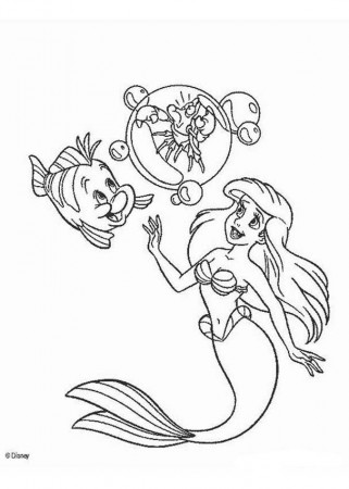 Ariel's friends sebastian and flounder coloring pages - Hellokids.com