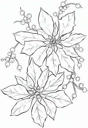 Coloring Page of Poinsettia