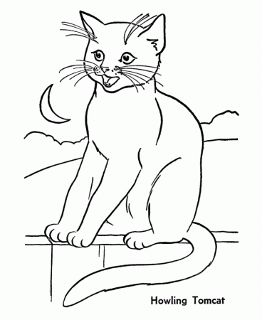 Cat Coloring Pages - letscoloringpages.com , cat in the night Free 