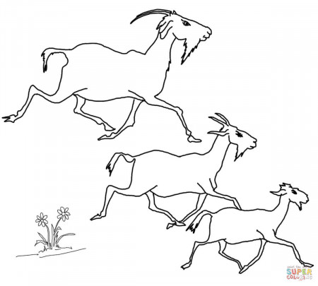 Elder, Middle and the Youngest Billy Goats coloring page | Free ...