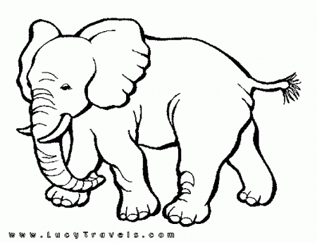 Document African Animals Coloring Pages Wild Animal - Widetheme